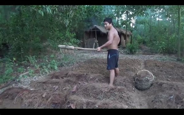 【原始的生活】用原始技术耙子开垦一个原始菜园（第12弹）