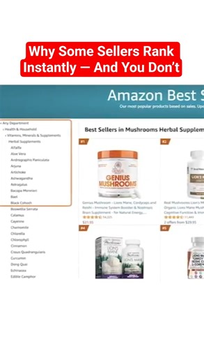 The Hidden Structure That Decides Who Ranks and Who Doesn’t