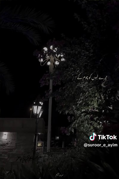 Kya Tumhein Yaad Hai: Nostalgic Shayari with Vocals