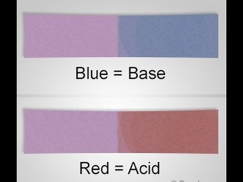 Understanding the Litmus Paper Test for Acids and Bases