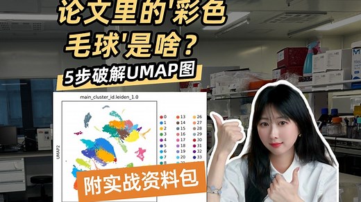 【硬核教程】UMAP图全解析｜从原理到实战｜单细胞分析必备技能 #生信分析 #生物信息学 #数据可视化 #UMAP图 #单细胞测序 #单细胞测序分析