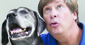 Dave Barry Will Not Drink Out Of A Toilet But He Might Try A Few Things His Dog Lucy Has Taught Him
