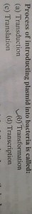 Process of introducting plasmid into bacteria is called:(a) Tr... | Filo