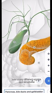 4.7K views · 83 reactions | Explore 3D interactive tours of the human anatomy! Keep watching to see how. BioDigital | American Cancer Society | Facebook