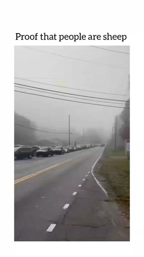 Pubewitty on Instagram: "The video captures a 'phantom traffic jam' on a foggy road, where dozens of cars queue unnecessarily as drivers blindly follow the one ahead, with clear traffic resuming just beyond the visible horizon. - This illustrates a phenomenon from a 2008 Nagoya University experiment, where researchers recreated spontaneous jams by having drivers brake slightly in dense traffic, showing how minor delays propagate backwards like shockwaves. - Shared by epic_hubb, a satirical accou