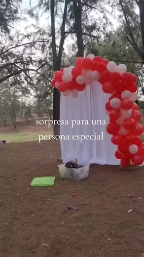 Lizet Suruy on TikTok