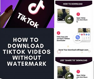 Download tik tok videos by link
