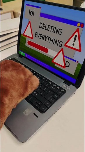 Episode 3: computers are confusing if you’re a bear..