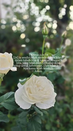 1 Petrus 2:24 Ia sendiri telah memikul dosa kita di dalam tubuh-Nya di kayu salib #worship #bible