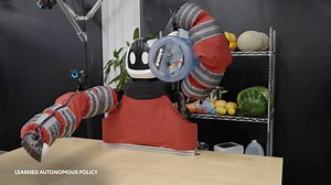 Punyo is a robot helping whole-body manipulation research