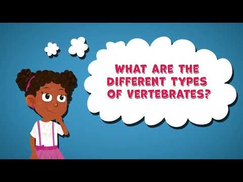 What Are the Different Types of Vertebrates | Vertebrate Facts for Kids | Mammals | Birds | Fish