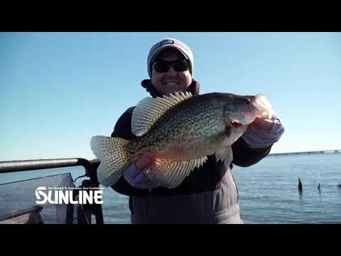 Best lines for crappie fishing. Sunline Braid and Leaders