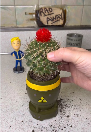 Planting a nuked Cactus in my Mini Nuke planter today ☢️ #fallout #mrsfallout #fallouttok
