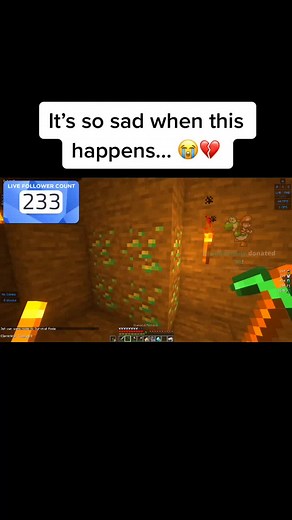 Heartbreaking Minecraft Moment | Tears and Sadness