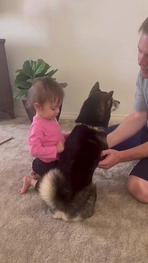 Dada is teaching Maya to be the good to animals #toddler #toddlerlife #furryfriend #doglover #cute #cutebabies #cutenessoverload #babygirl #fyp #parenting #moms #momlife #dad #dadlife #baby #fypviral #fbreelsvideo #fbreels #shorts #grandbaby #grandparents #sweetheart #sweetbaby #babygirl #daughter #iloveyousomuch #fypシ゚viral #fypシ゚ #fbshorts ***Disclamer**** We do not own the music* No copyright infringement intended | The Maya Luna & Dada