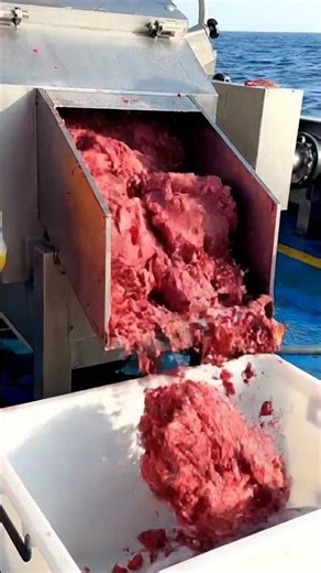 INDUSTRIAL TUNA GRINDER: Whole Fish to Mince! 🐟🤯