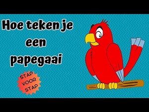 Hoe teken je een papegaai | stap voor stap
