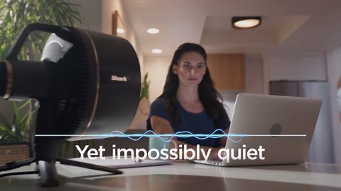 Shark FlexBreeze Fan — Indoor & Outdoor Oscillating Fan, Pedestal & Tabletop, Corded & Cordless Portable Fan , FA200 Charcoal Grey