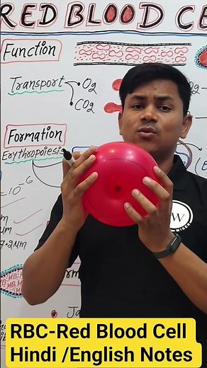 Rbc| Red Blood Cell | Erythrocyte| Rbc Physiology|Erythrocyte physiology #ytshorts #viral #medical