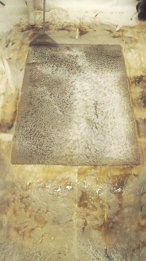 Squeegee Time! Carpet Cleaning, Rug Washing ASMR #asmr #restoration #carpetcleaning #satisfying #rugcleaning | Mountain Rug Cleaning