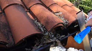 Watch Scoop N Scrub - Browns Brushware on Amazon Live