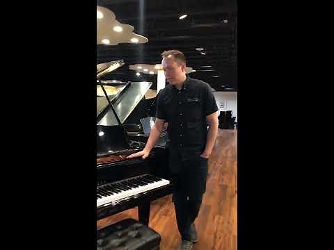 Tips and Tricks on How to Fix Annoying Piano ‘Buzzing’