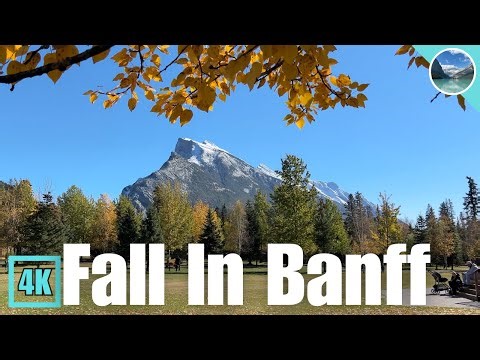🍂 Beautiful Fall Colours In Banff 2025 🇨🇦 Part 1