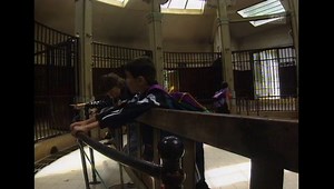 Okapi Geburt - Schweiz aktuell - Play SRF