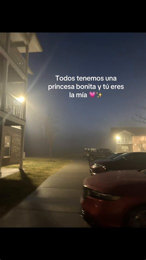 Cada persona tiene su princesa especial