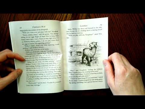 Charlotte's Web chapter 4 Loneliness