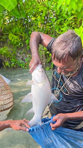 Wow! Amazing Polo Fishing Videos ! Best Big Fish Catching🐟Primitive fishing #fish #shorts #india