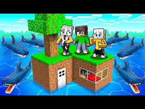 SOPRAVVIVIAMO 24 ORE nell'ISOLA PIÙ PICCOLA di Minecraft!