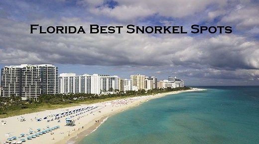 10 Best Snorkeling Spots in Florida For Every Skill Level