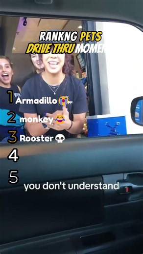 Ranking Best Pet Drive Thru Reactions #usa #pets #shorts #funny #omg #wow #animals