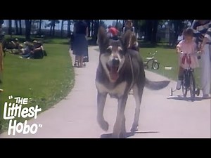 Boy on Wheels | The Littlest Hobo | Season 1 | Episode 10