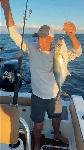 Catching blue runner #fishing #california #florida #outdor #fish #trout #baitfish