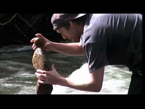 Incredibly Precarious Stacked Rock Sculptures Held With 'Gravity Glue'