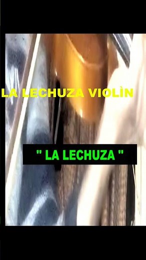 LA LECHUZA '' CANCIÒN INFANTIL ''