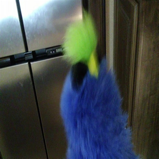 Puppet loves guacamole #funny #yelling #puppet #puppets #guacomole