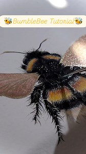 Buzzing with brilliance! 🐝✨ @lisilinka just dropped a mesmerizing new tutorial titled “Bumblebee”—and it’s the perfect mix of technical finesse and artistic charm. From delicate pencil work to stunning shimmery wings, this piece is full of magic. Feeling inspired? ✨Tag a friend who would love to try this! Want to see more jaw-dropping tutorials like this? Follow us on Instagram: @rockwellart.global for your daily dose of watercolor wonder. Let’s show @lisilinka some love in the comments! #bumbl