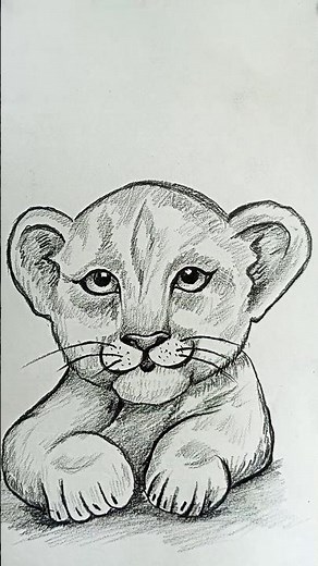 🦁 Cute Lion Cub Drawing 🐾 | Easy Pencil Sketch for Beginners ✏️