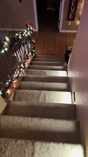 Party tubbies! 🤣 #trending #teletubbies #christmas #livingthebesife #nightclub