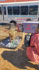 Erath County Humane Society on Reels