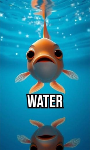 Why do stars twinkle? #EL5 #ScienceForKids #StarMystery