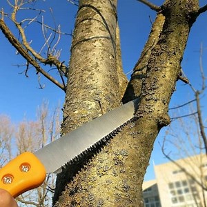Best Pruning Saw UK Reviews - Tool Advice