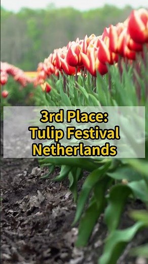 Top 5 Spring Festivals Around the World