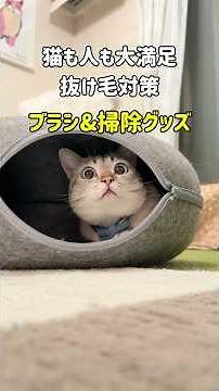 【猫の抜け毛対策】買って良かった！ペットブラシ&掃除グッズ 3選