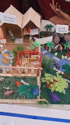 Type of animals #project #evs #science #exhibition #model #schoolproject