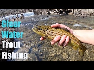 AMAZING Fishing in ULTRA CLEAR Water!!! (FIRST TIGER TROUT?!)
