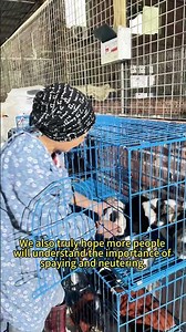We Picked Up 4 Abandoned Puppies for Just $1 50 Puppy Rescue & Spay Neuter Awareness